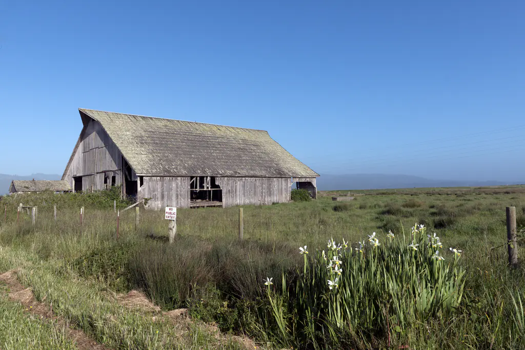 Old wooden barn in Arcata, California LCCN2013634809.tif