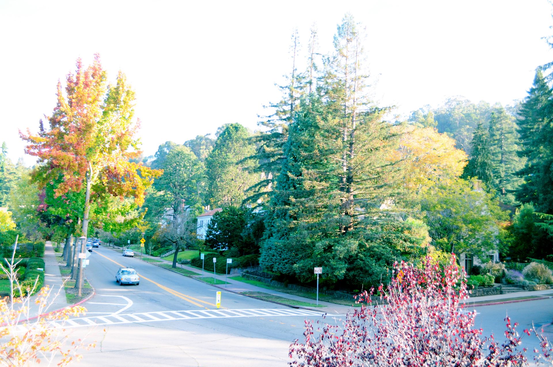 Claremont Court, Berkeley, California
