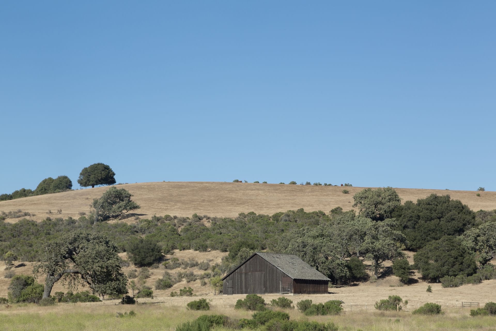 Farm scene in Buellton, California LCCN2013633358.tif