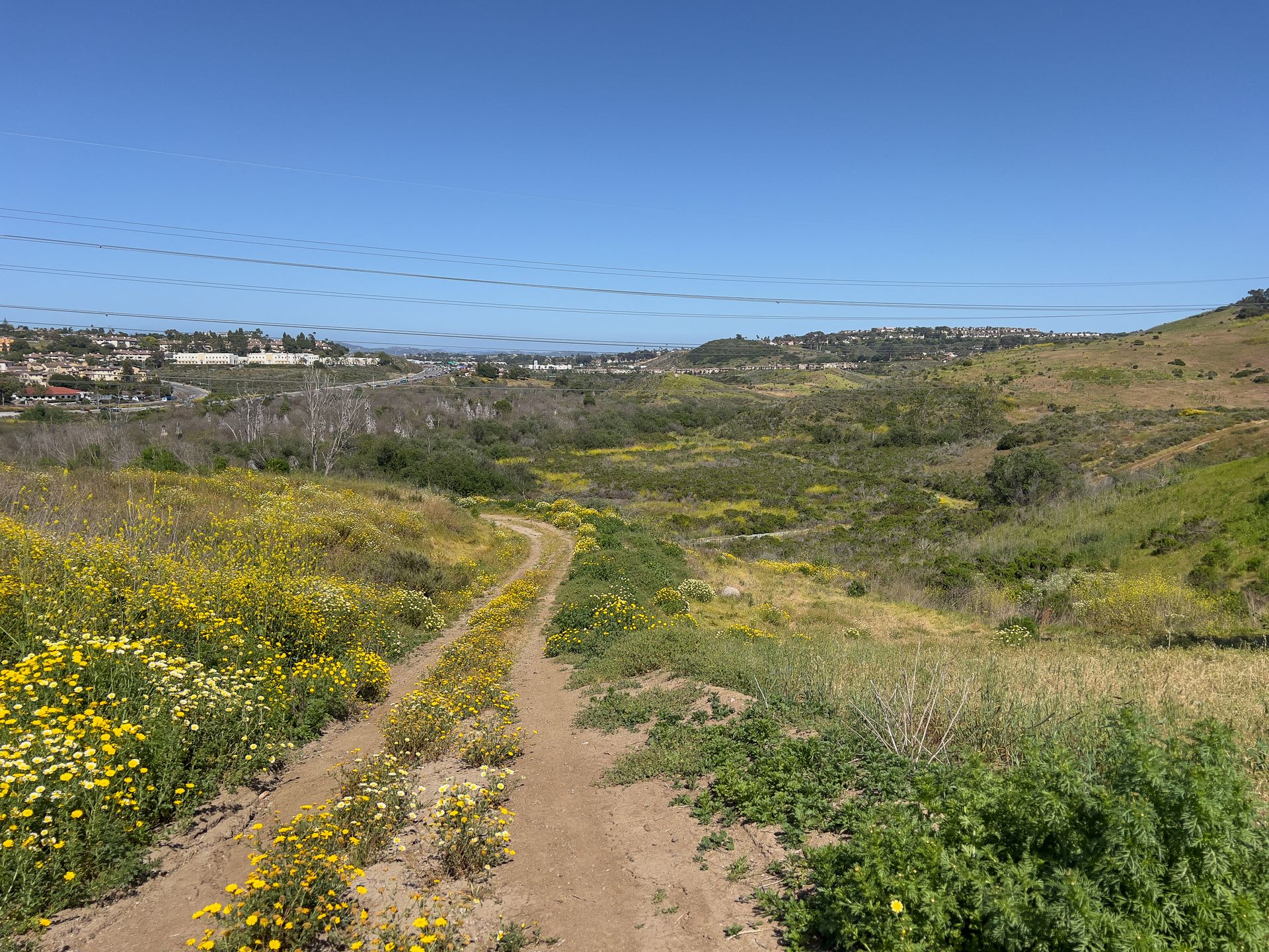 Buena Vista Creek Ecological Reserve - Carlsbad, California
