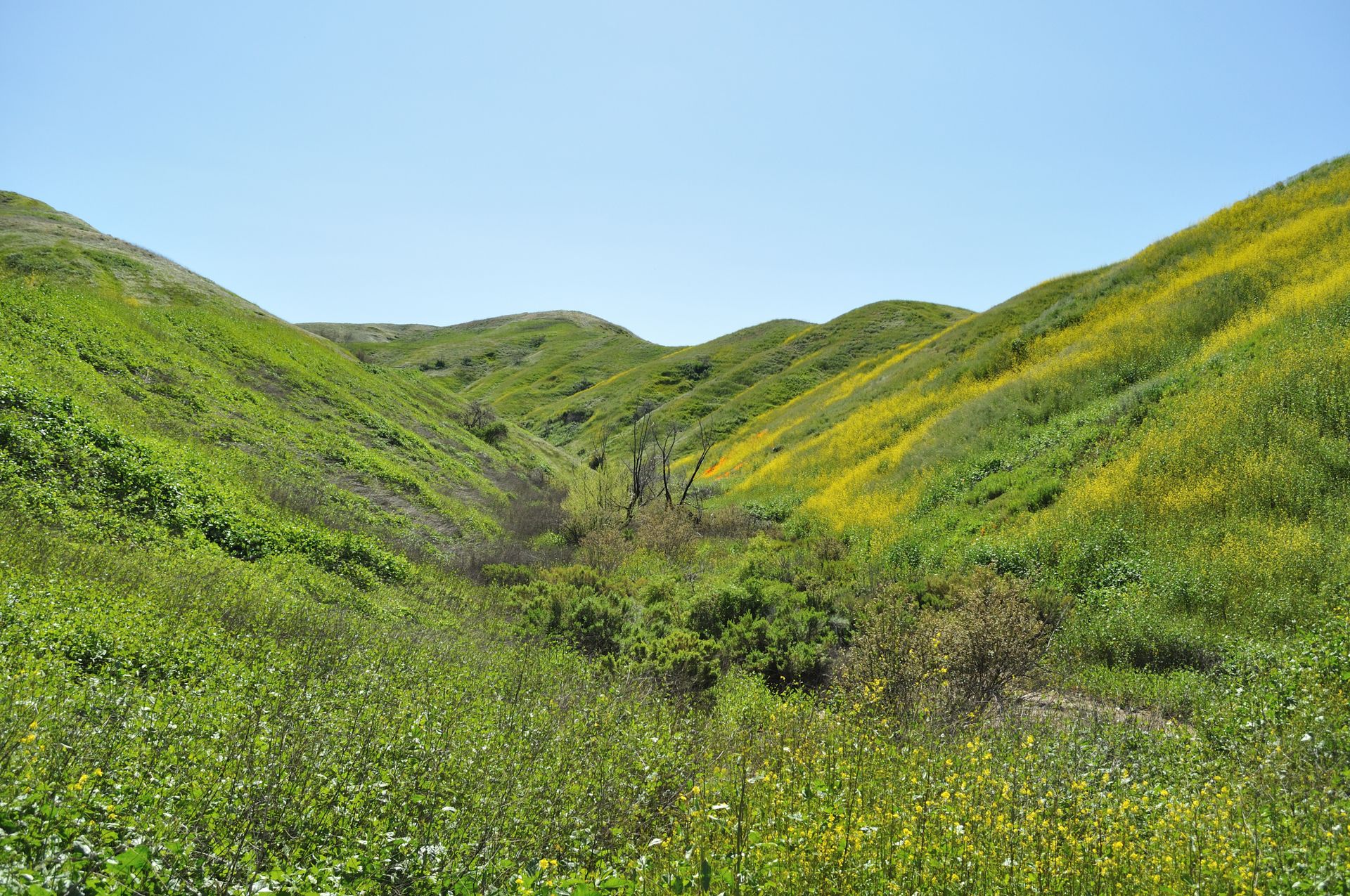 33 A Canyon @ Chino Hills State Park's Street Entrance