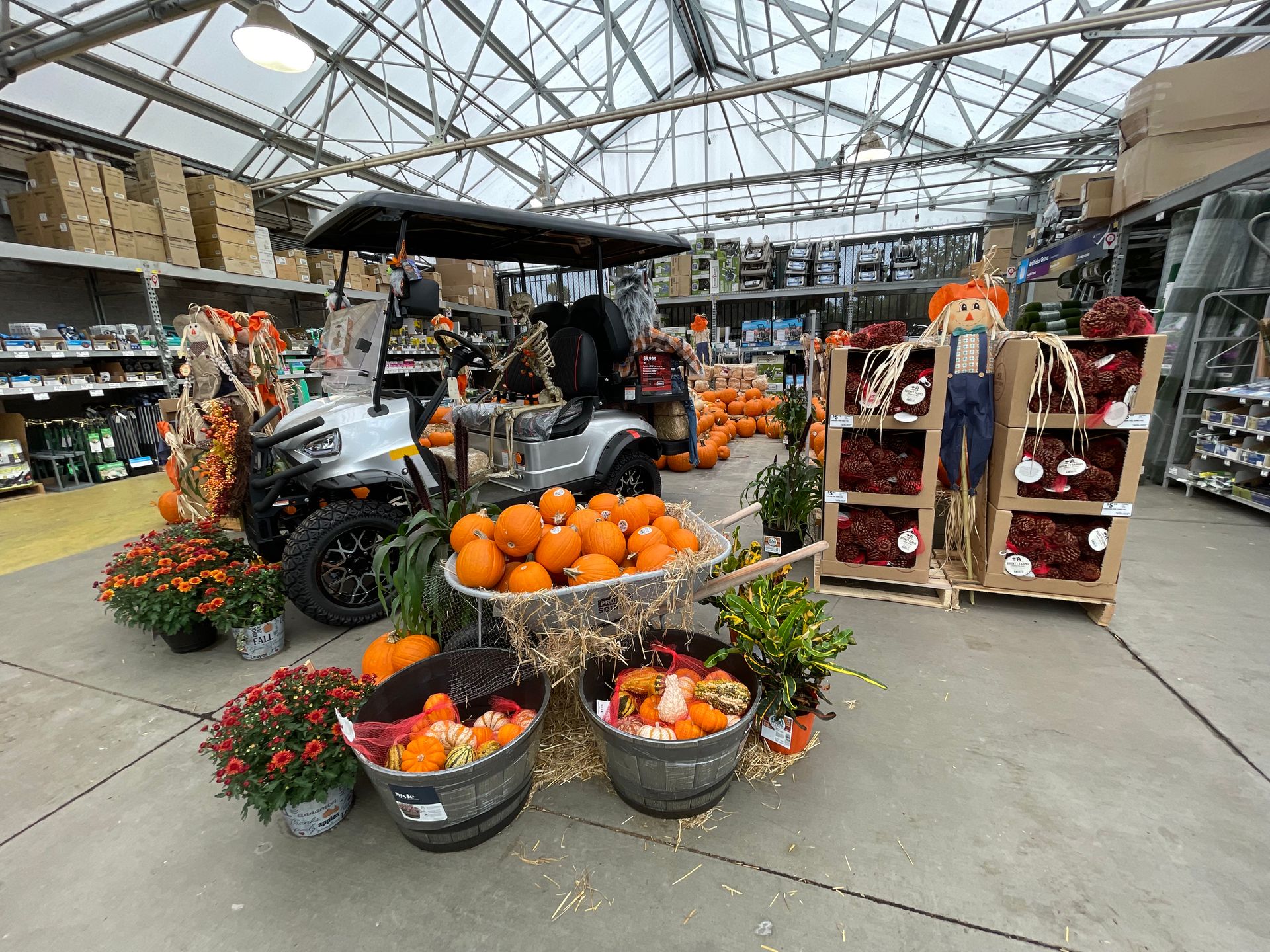 Lowe's in Cotati, California - October 2022 - Sarah Stierch