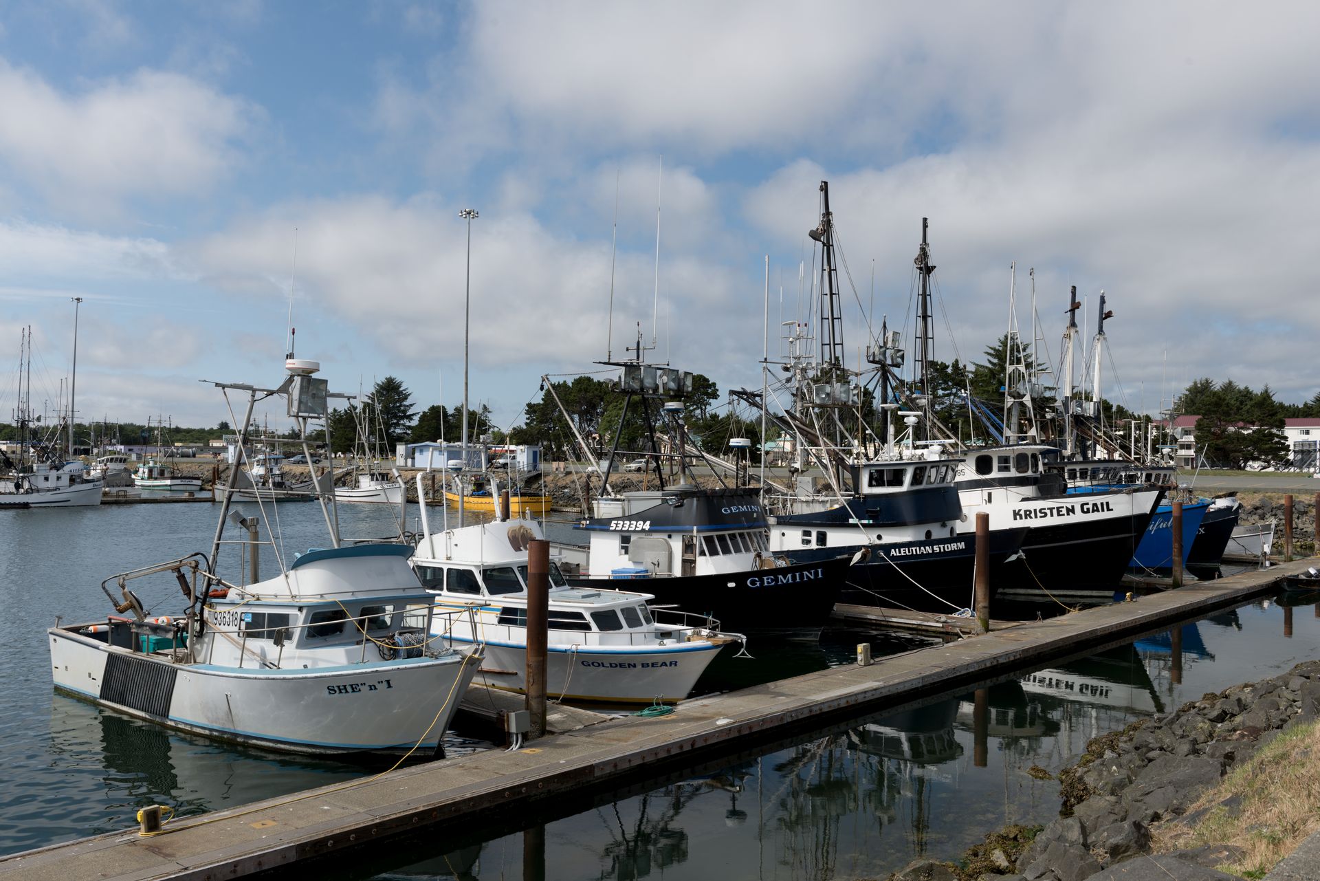 Boat marina in Crescent City, California LCCN2013632301.tif