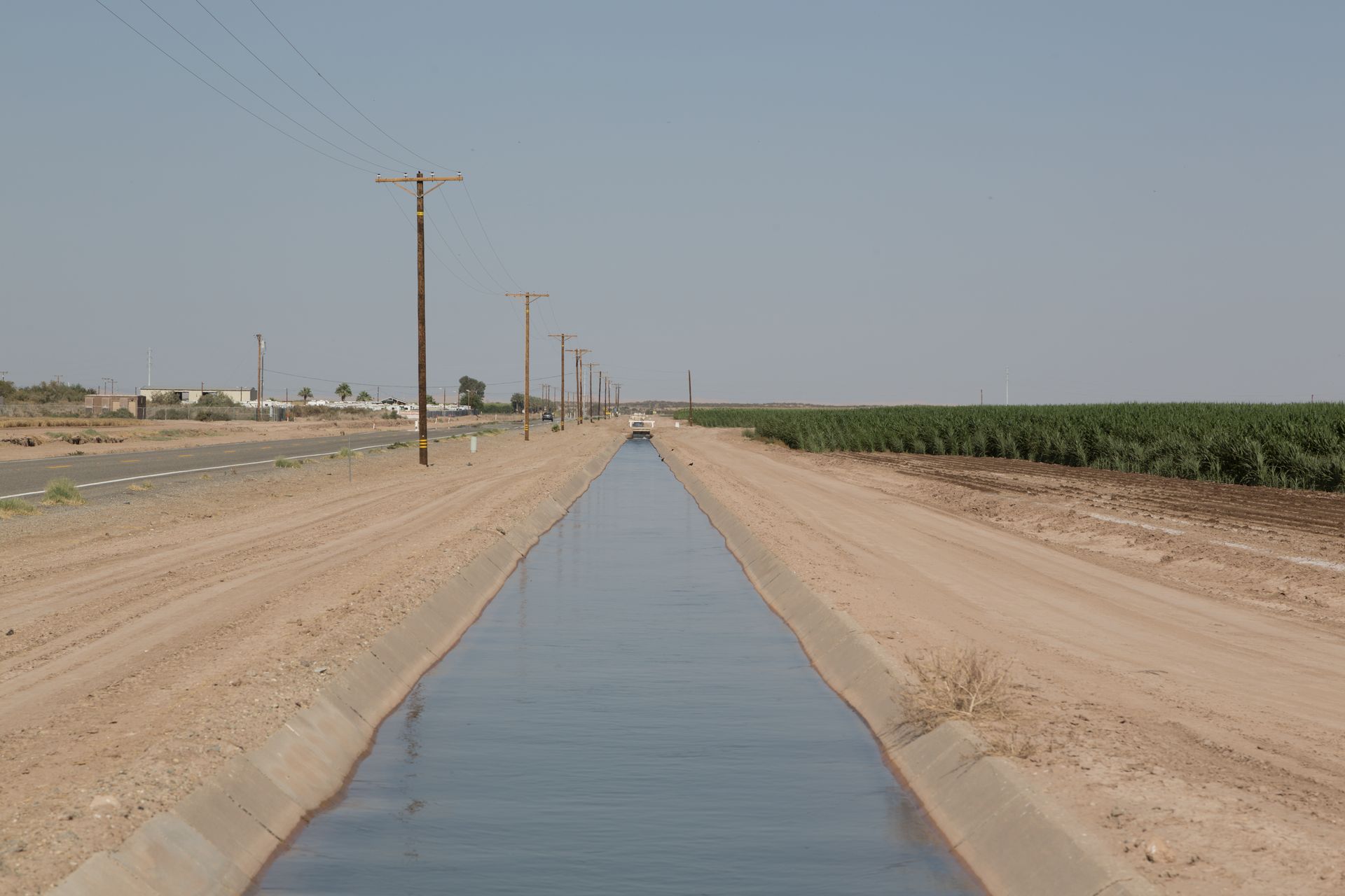 Farming in the El Centro region in California LCCN2013633419.tif