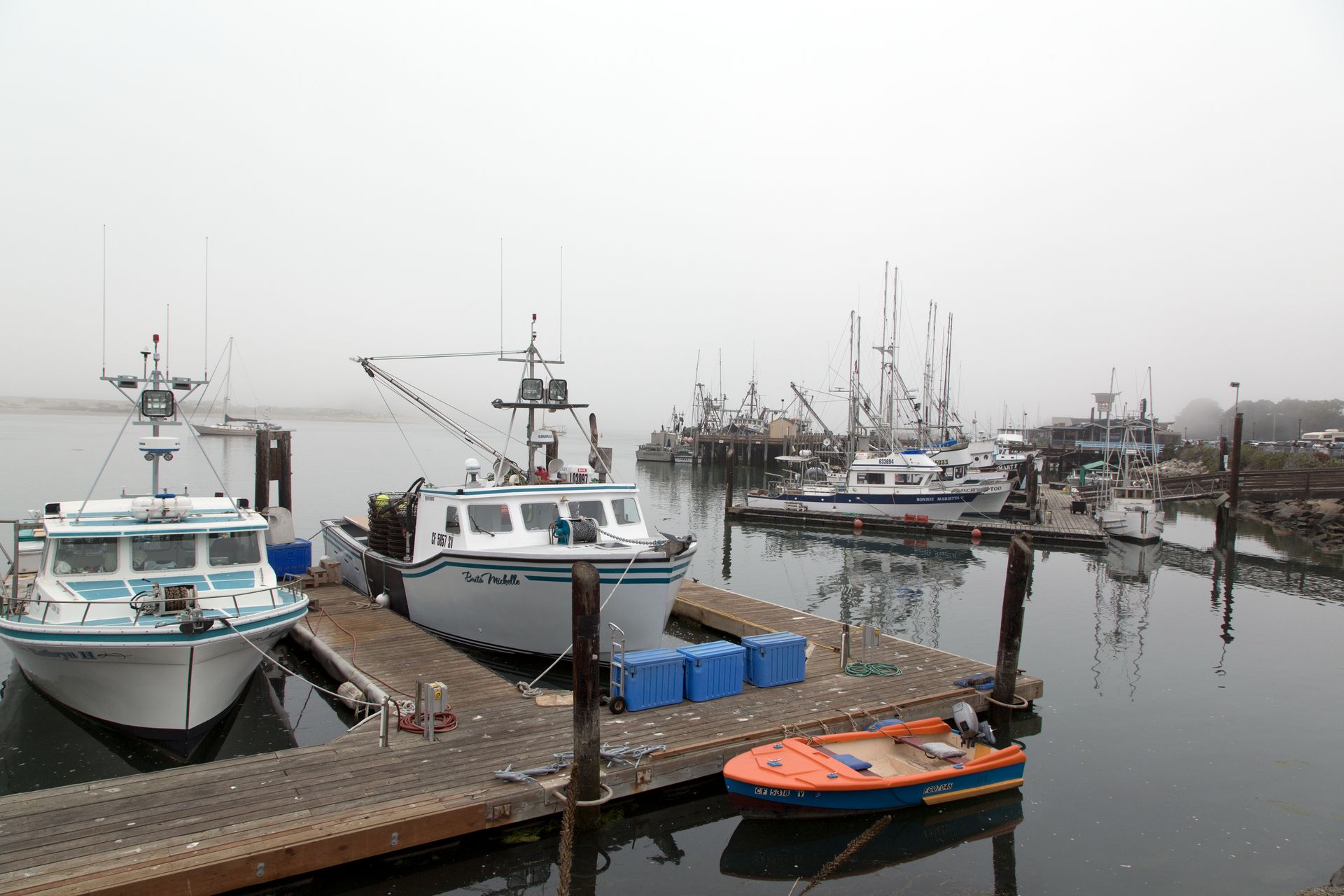 Fog, Morro Bay, California LCCN2013632574.tif