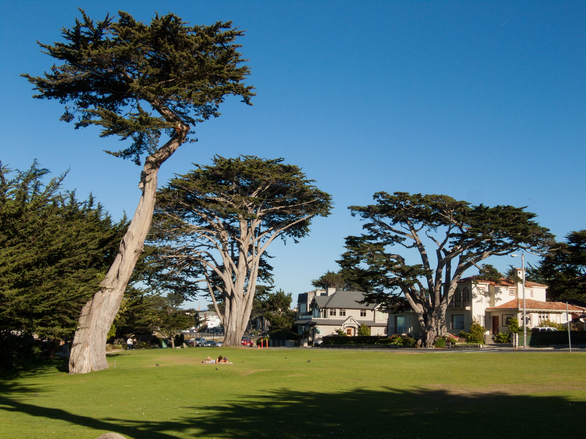 Berwick Park, Pacific Grove, California