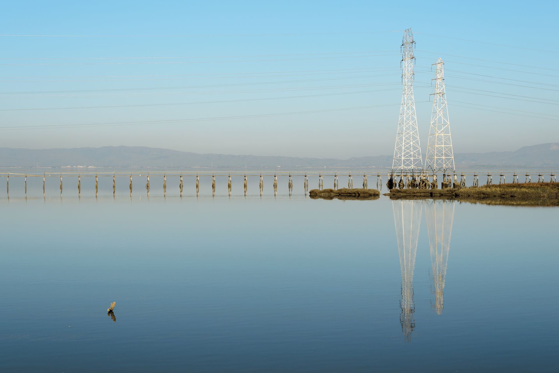 Palo Alto Baylands January 2013
