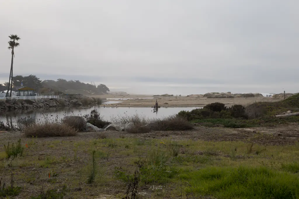 Pismo Creek Estuary in Pismo Beach, California, US