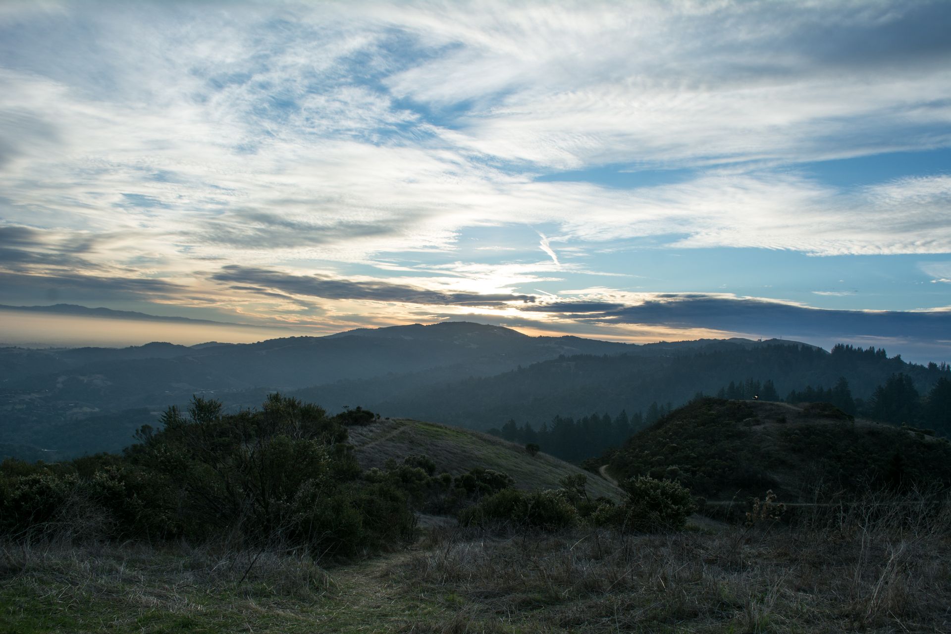 Morning in Portola Valley, California2