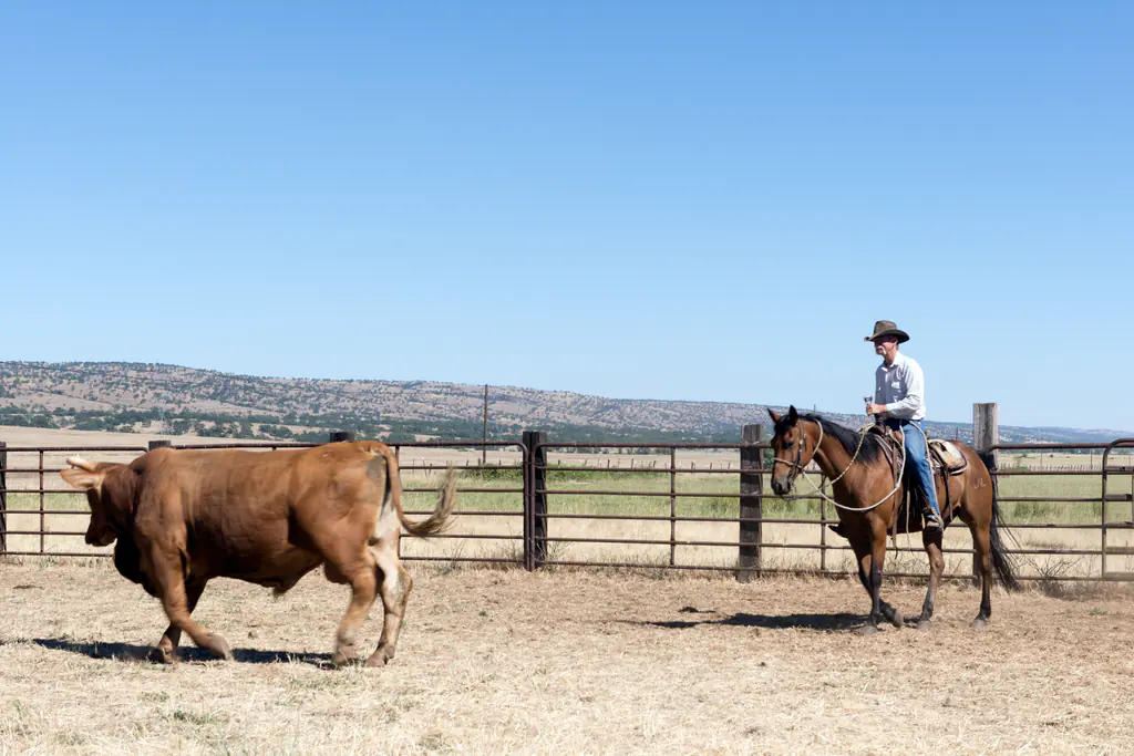 Dusty de Braga and daughter on Dye Creek Ranch near Red Bluff, California