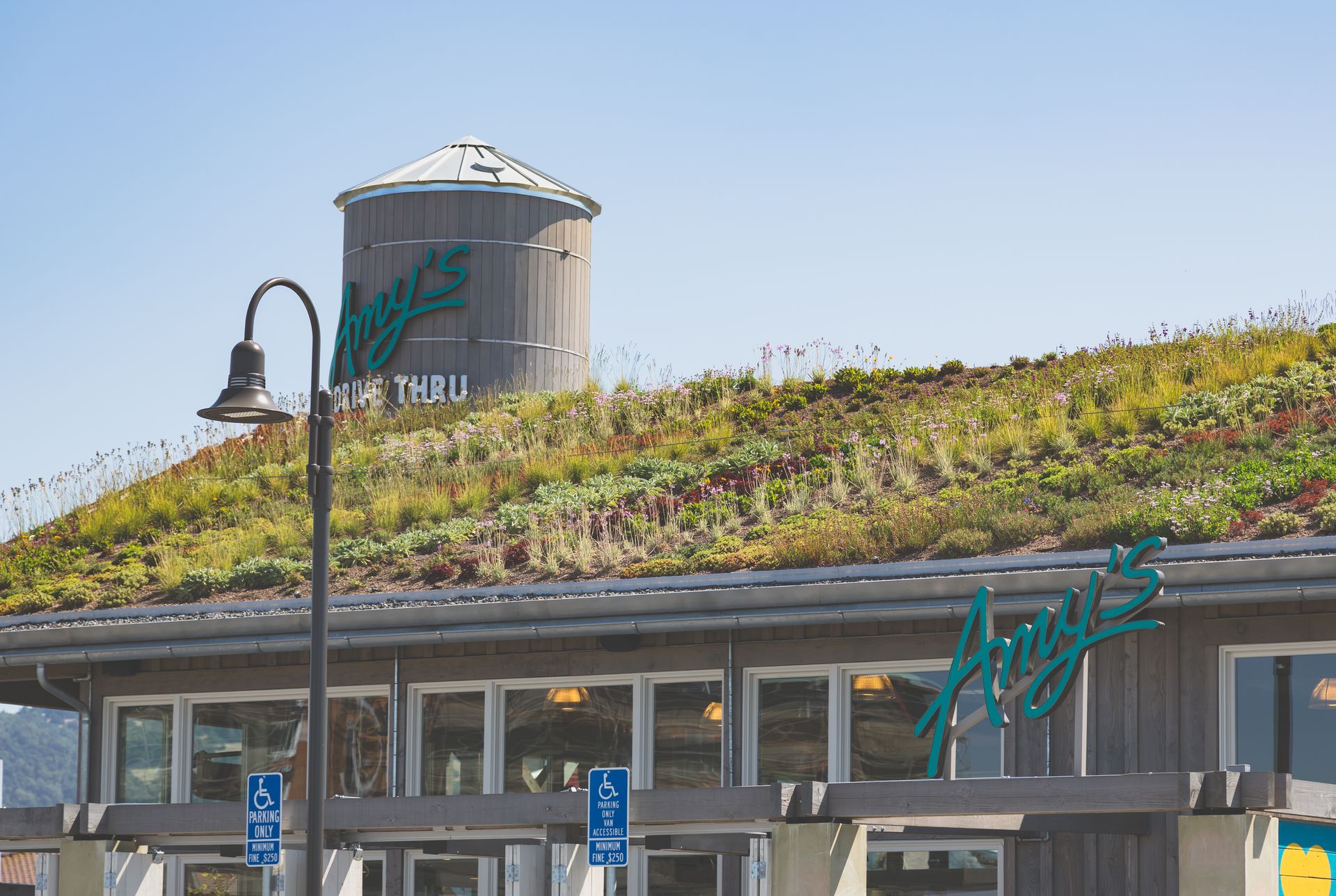 Amy's Drive Thru Rohnert Park California