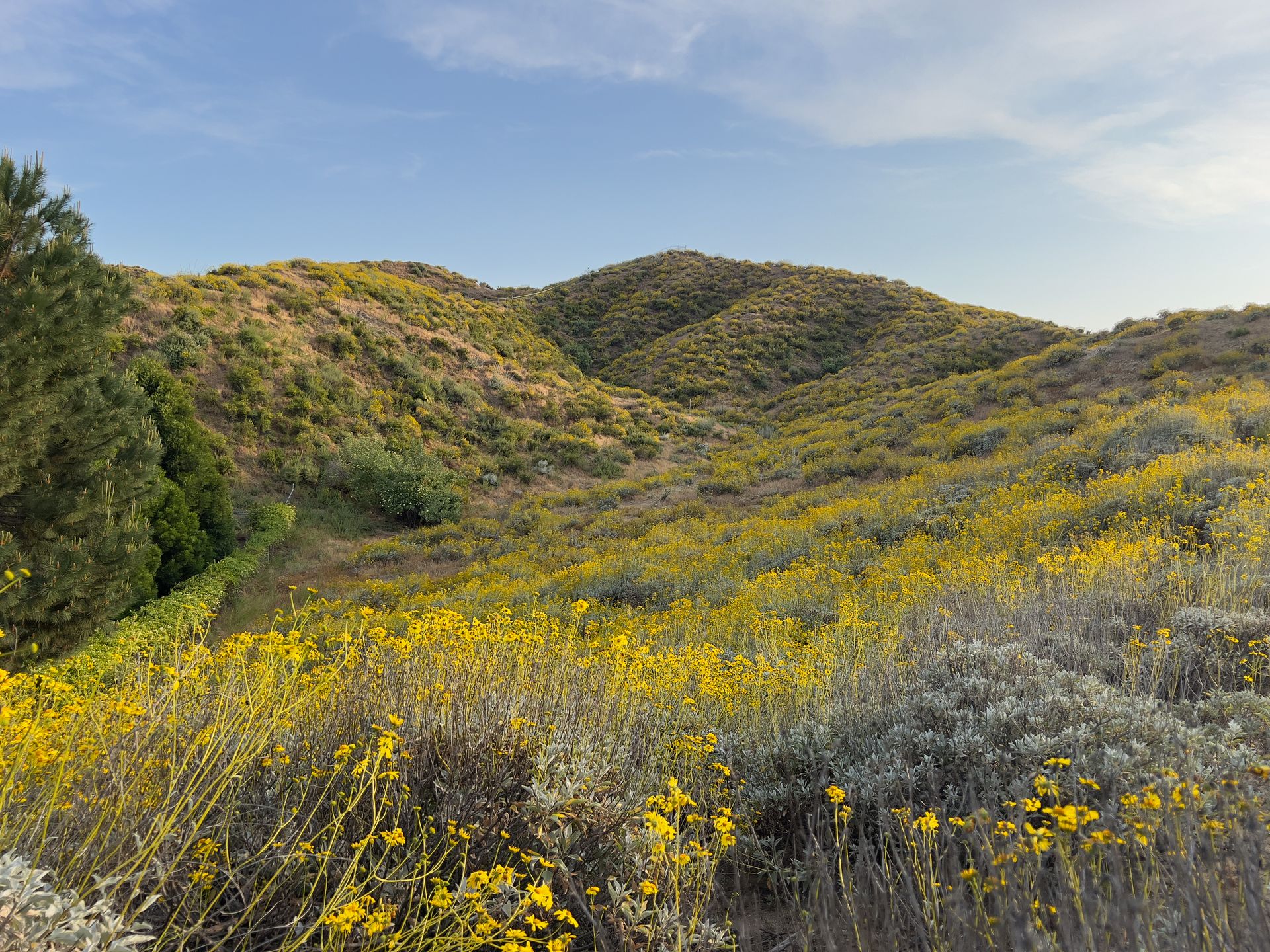 Park Hill viewed from San Jacinto, California