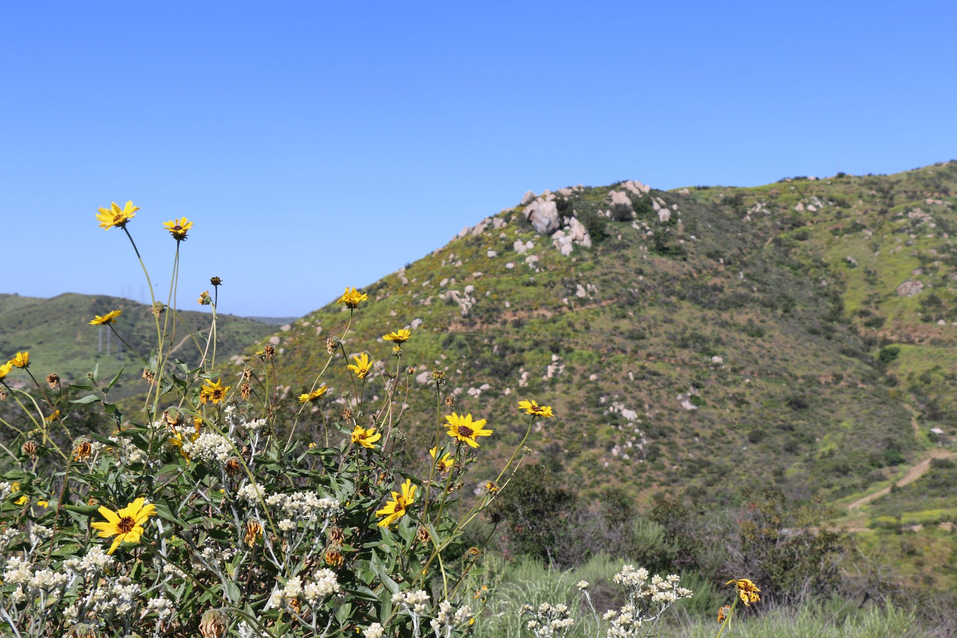 Section 6 property in Santee, CA