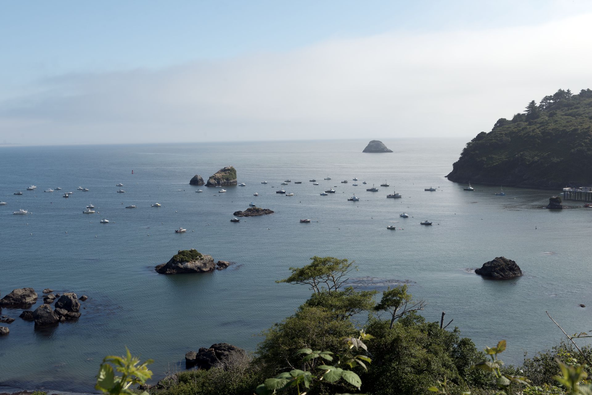 Scenic view of Pacific Ocean, Trinidad, California LCCN2013632248.tif