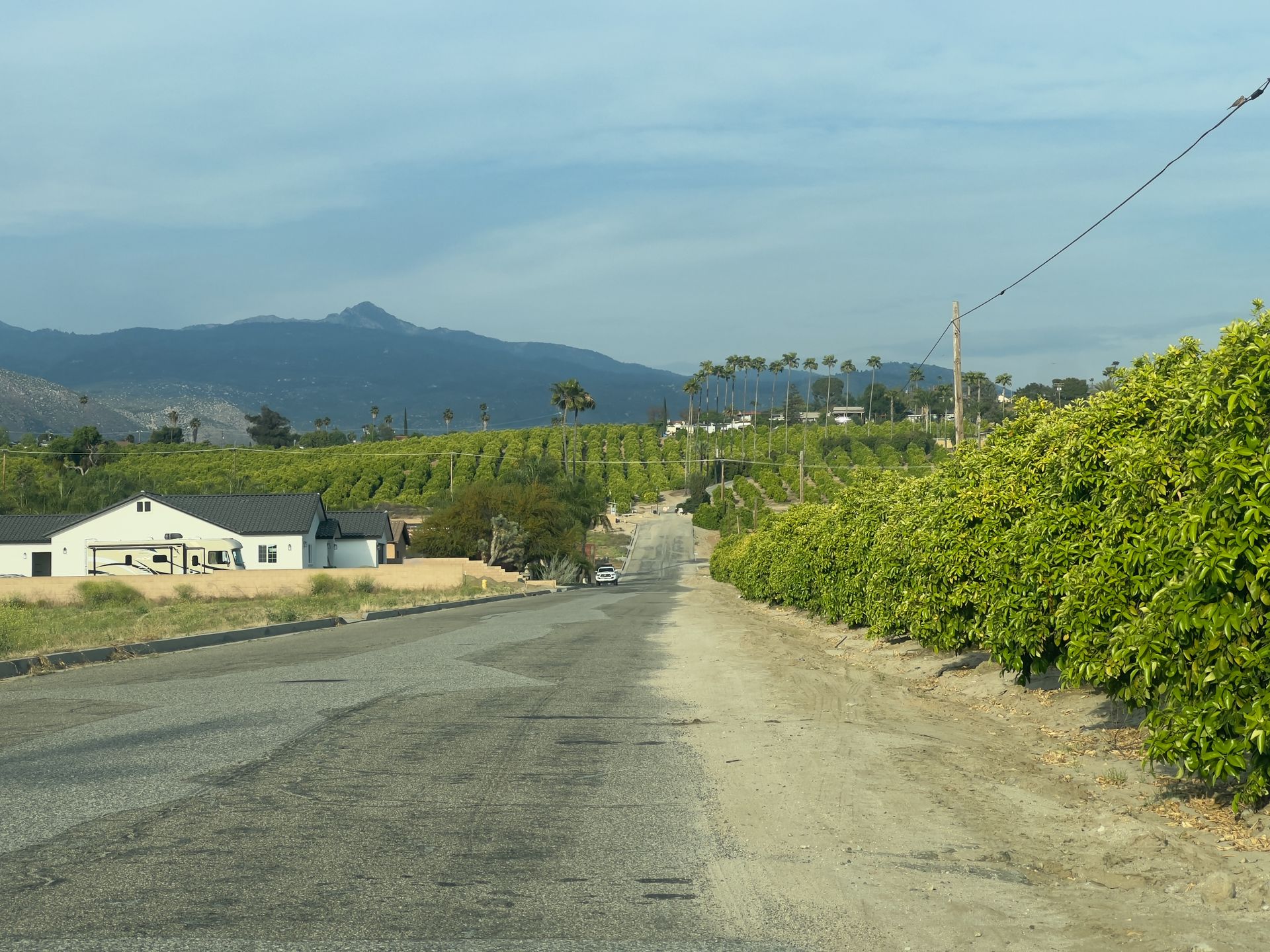 Orange Groves and San Jacinto Mountains in Valle Vista, California